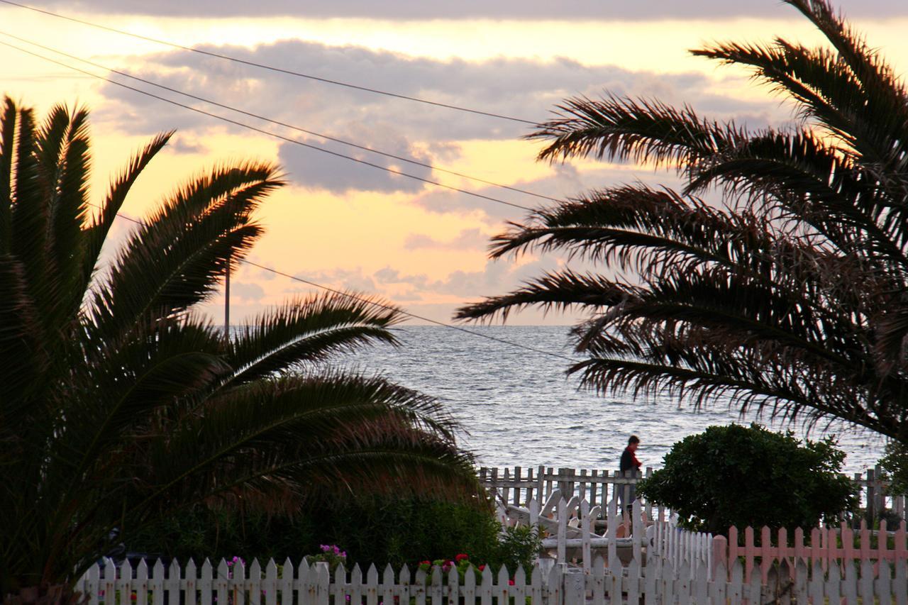 Afribode's Adenium Beachfront *